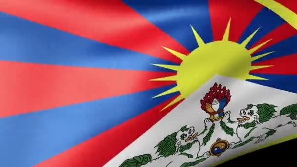 西藏国旗飘扬 — 图库视频影像