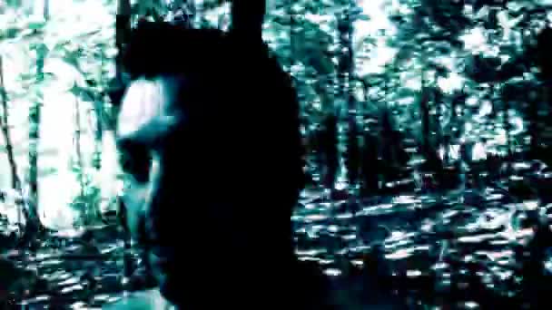 Чоловік біжить у лісі — стокове відео