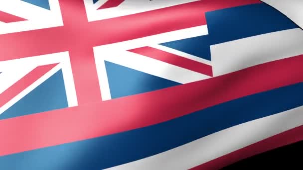 Bandera de Hawaii ondeando — Vídeo de stock