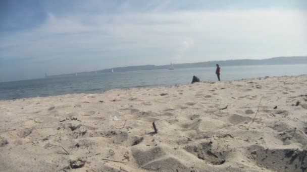 Family playing on the beach — Stock Video