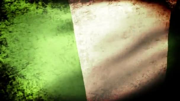 尼日利亚国旗挥舞着 — 图库视频影像