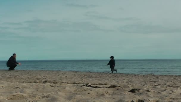 Familly spelar på stranden — Stockvideo