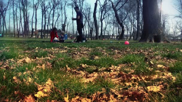 Happy family at picnic — Stock Video