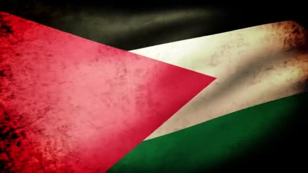 巴勒斯坦的国旗飘扬 — 图库视频影像