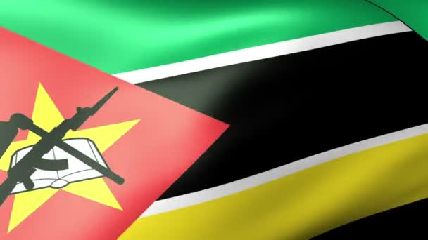 莫桑比克国旗飘扬 — 图库视频影像