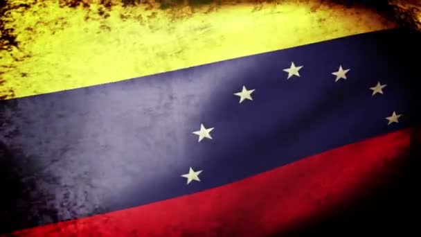 Venezuelas flagga vajande — Stockvideo