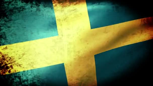 İsveç bayrağı sallayarak — Stok video