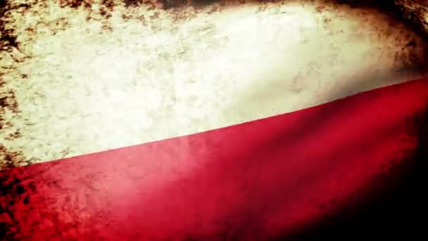 Mávání vlajkami Polsko — Stock video