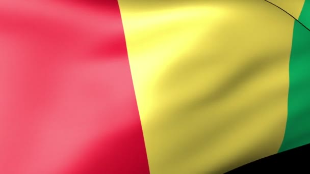 Guineas flagga vajande — Stockvideo