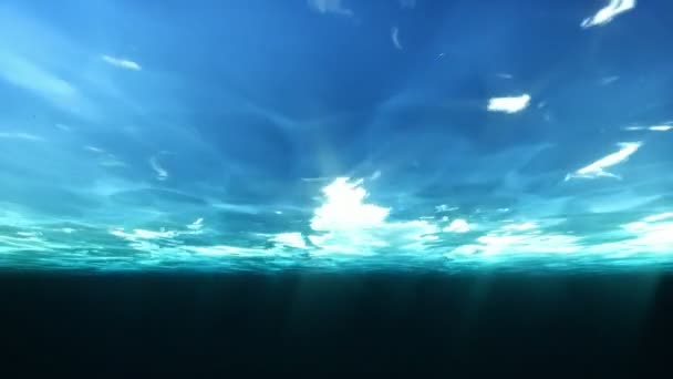 Vista submarina y gaviotas en el cielo — Vídeo de stock