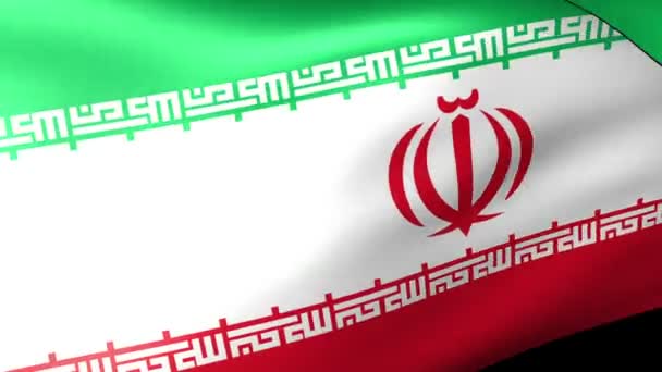 イラン国旗を振って — ストック動画