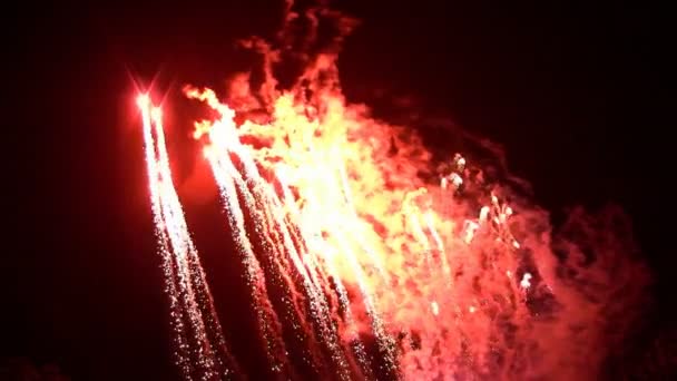 Exhibición de fuegos artificiales en el cielo nocturno — Vídeo de stock