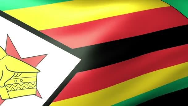 津巴布韦的国旗飘扬 — 图库视频影像