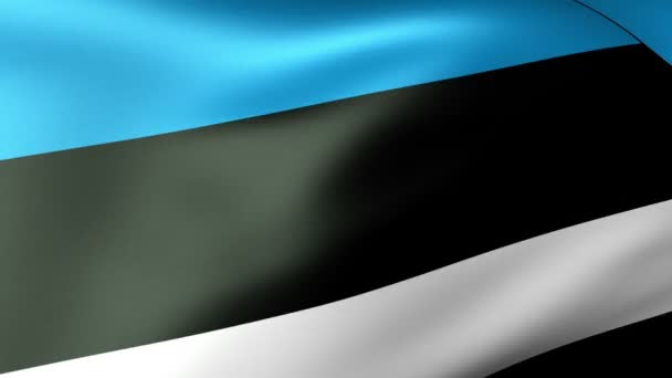 Estonia Bandera ondeando — Vídeo de stock