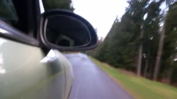 Condução de carro através da floresta — Vídeo de Stock