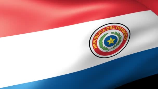 Paraguay Bandera ondeando — Vídeos de Stock