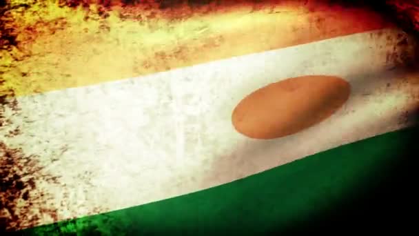 Nigers flagga vajande — ストック動画