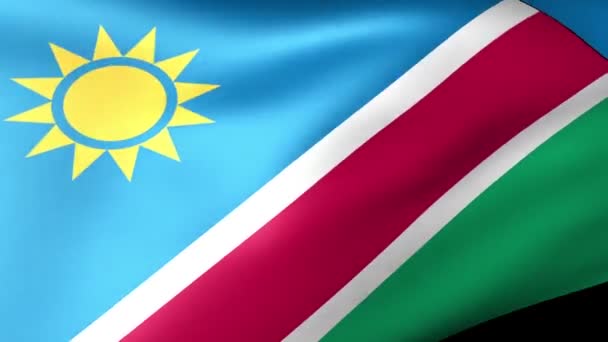 Namibia flag waving — Stock Video