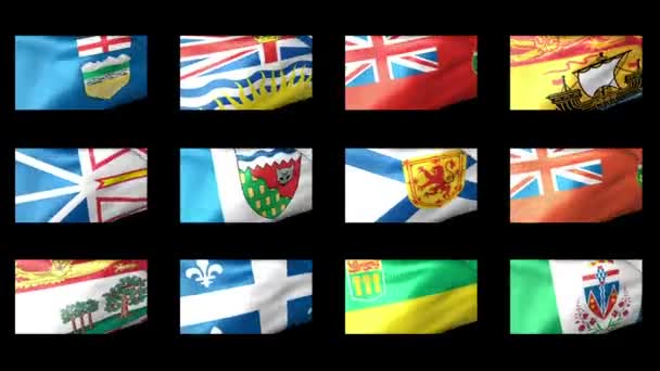Canadian states flag waving — Stock Video