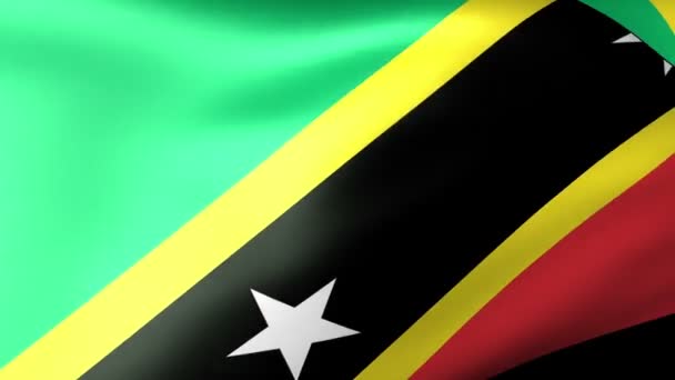 St. Kitts en Nevis vlag zwaaien — Stockvideo
