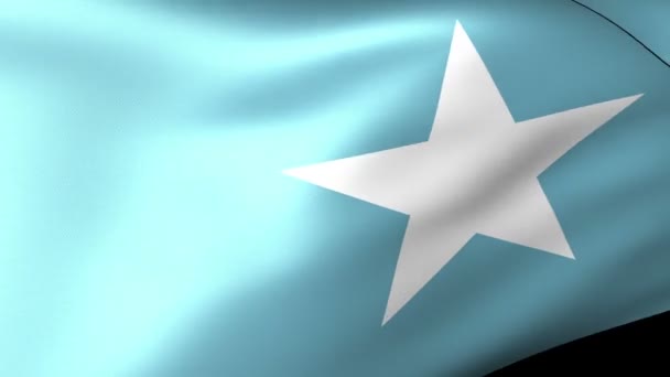 Σομαλία σημαία κυματίζει — Αρχείο Βίντεο