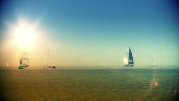 Boats sailing on the horizon — Stock Video