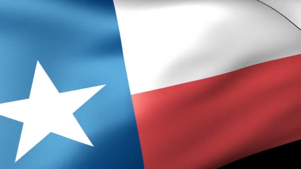 Bandera Estatal de Texas ondeando — Vídeos de Stock