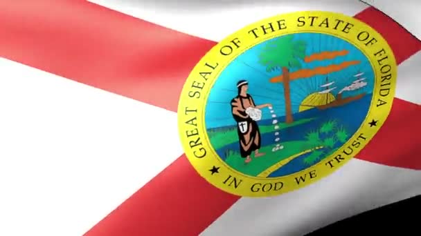 Bandera del Estado de Florida ondeando — Vídeo de stock