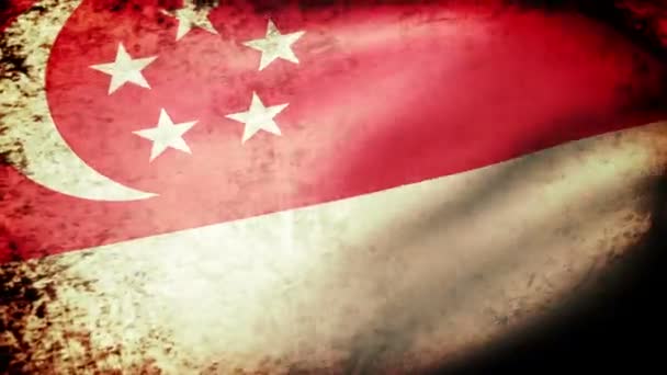 Bendera Singapura melambai — Stok Video