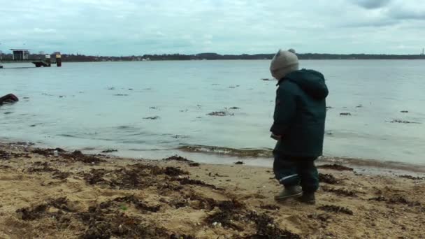 Child throwing sea shells — Stock Video