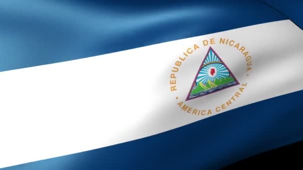 Nicaragua-Flagge geschwenkt — Stockvideo