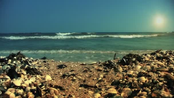 海の破る波と海岸 — ストック動画