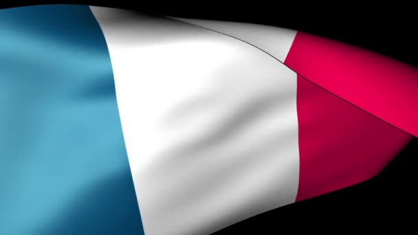 Flaga francuska machająca — Wideo stockowe