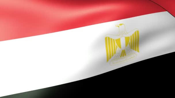 Egypten flagga vajande — Stockvideo