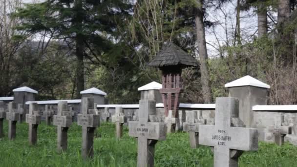 Хрести на цвинтарі в дереві — стокове відео