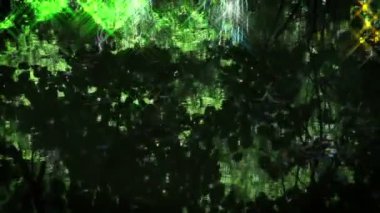 ağaç yansıması ile yüzey