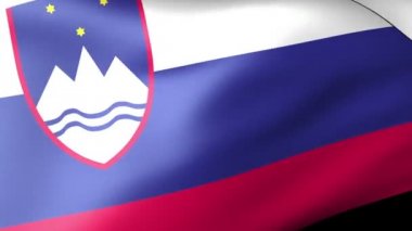 Slovenya bayrağı sallayarak