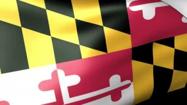 Maryland devlet bayrak sallayarak