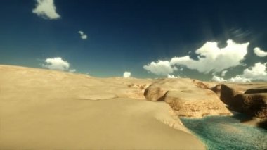 Sands ve nehir üzerinde sinek