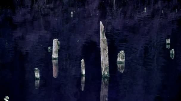 Voda v jezeře v noční době — Stock video