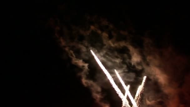 Vuurwerk op de nachtelijke hemel — Stockvideo
