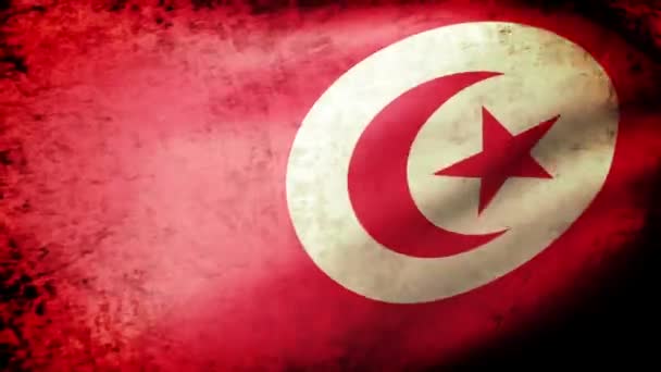 Tunisien flagga vajande — Stockvideo