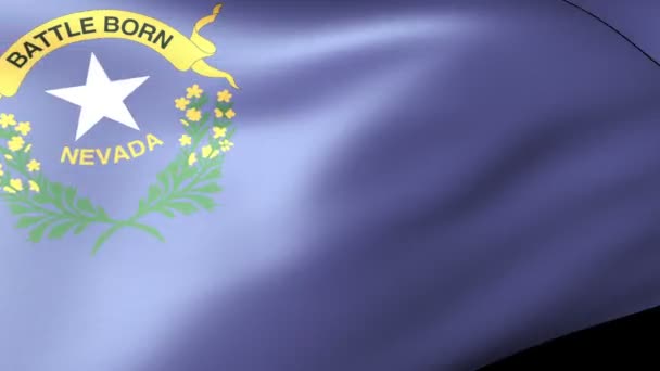 内华达州的国旗飘扬 — 图库视频影像