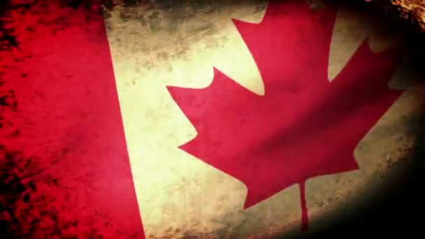 Canadese vlag zwaaien — Stockvideo