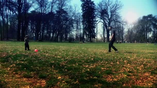 Père et fils jouant avec une balle — Video