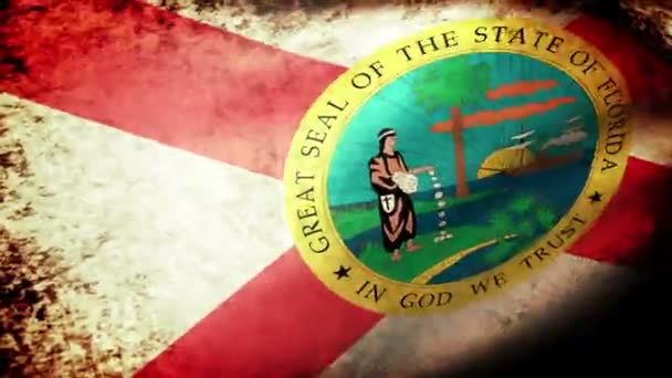 Florida State vlag zwaaien — Stockvideo