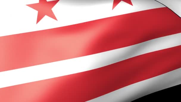 District of Columbia flag waving — Stock Video