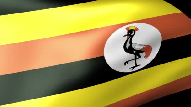 Uganda flagga vajande — Stockvideo