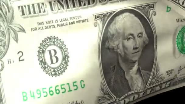 Jeden dolar mávání — Stock video