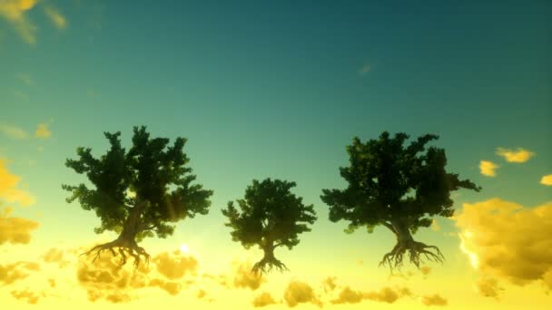 Floating trees in sky — Stock Video